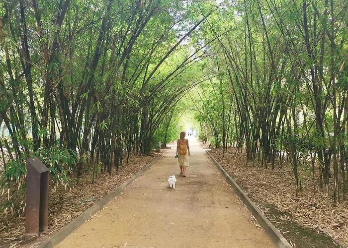 Home2book Modern Center With Terrace Lägenhet Santa Cruz de Tenerife
