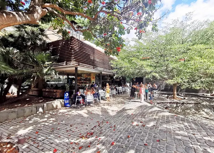 Home2book Modern Center With Terrace * Santa Cruz de Tenerife