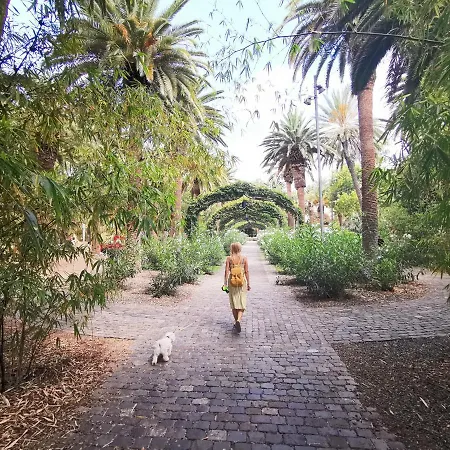 Appartement Home2book Modern Center With Terrace Santa-Cruz de Ténérife