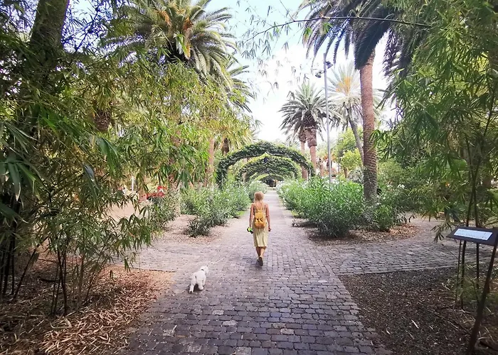 Apartment Home2book Modern Center With Terrace Santa Cruz de Tenerife